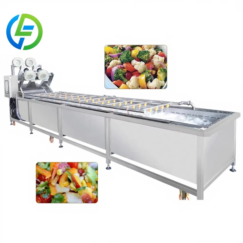 Baby Food Fruits - Customized Baby Food Fruit Washer Elevator