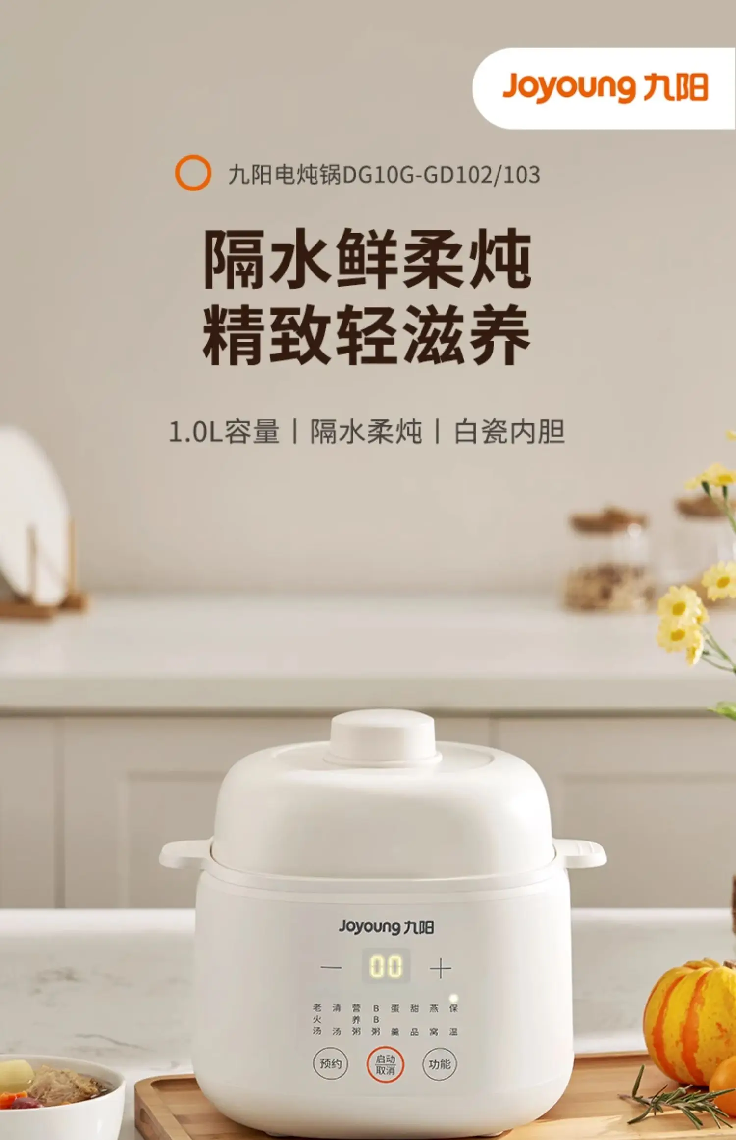 220V Electric Stewpot Ceramic  - Baby Food Steamer recension och pris